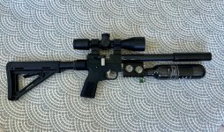 IMG_7269.jpeg