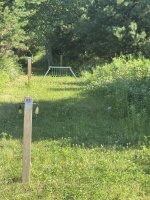 IMG_7827.jpeg