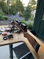 IMG_2639.jpeg
