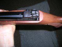 Rem peep site.JPG