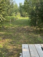 IMG_7992.jpeg