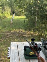 IMG_7991.jpeg