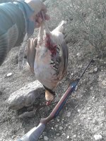 IMG_20170108_103304.jpg