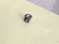 IMG_20250803_084858554.jpg