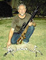 Airgun bobcat.jpg