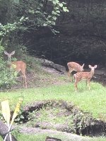20250803_175821.jpg