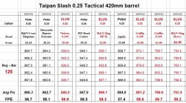 Taipan Slash 25 cal Tactical 420mm barrel - Regulator 125 Bar.jpg