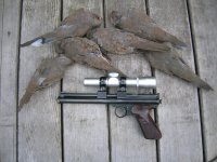 112dove.jpg