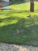 IMG_1907.jpeg