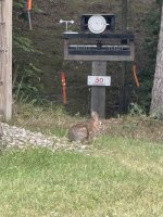 IMG_4508.jpeg