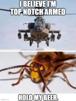 40an59.jpg