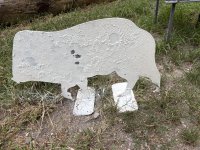 IMG_0159.jpeg