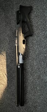 IMG_7239.jpeg