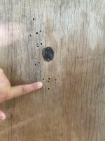 IMG_7302.jpeg