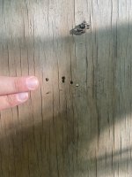 IMG_7304.jpeg
