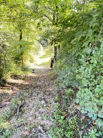 IMG_3389.jpeg