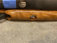 IMG_5311.jpeg