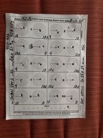 IMG_4239.jpeg