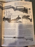 IMG_4765.jpeg