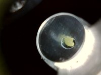IMG_3272.jpeg