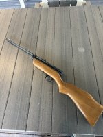 IMG_7022.jpeg