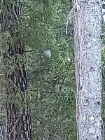 IMG_20250813_191144214.jpg