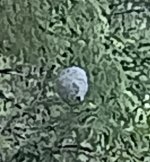 IMG_20250813_191144214~2.jpg