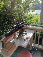 bullshark on bench.jpg