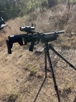 IMG_7964.jpeg