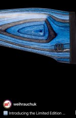 IMG_8655.jpeg
