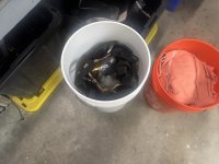 IMG_8150.jpeg