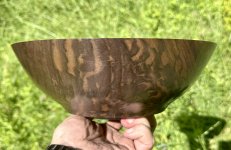 Walnut1.jpg