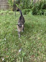 IMG_20250823_124556.jpg