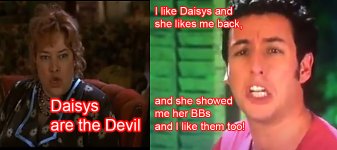 Daisys are the Devil.jpg
