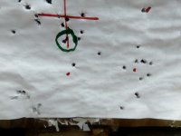 IMG_20250825_181828.jpg