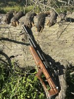 IMG_4183.jpeg