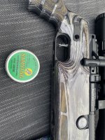 IMG_0010.jpeg