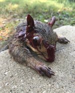 IMG_3059.jpeg