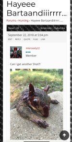IMG_3062.jpeg