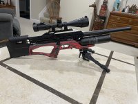 IMG_3512.jpeg