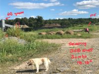 IMG_2317.jpeg