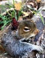 IMG_3071.jpeg