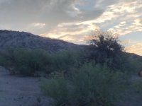 IMG_20250902_061602407.jpg