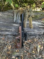 IMG_4209.jpeg