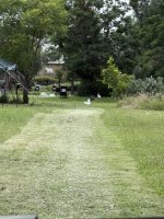 IMG_0378.jpeg