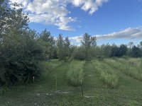 IMG_8217.jpeg