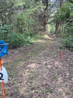 IMG_2068.jpeg