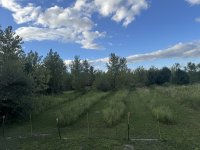 IMG_8215.jpeg