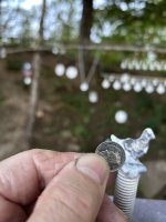 IMG_3022.jpeg