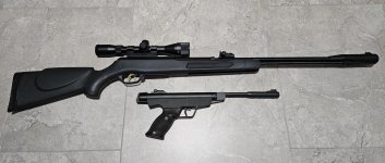Gamo.jpg